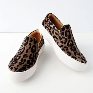 Steve Madden Gills Leopard Sneaker